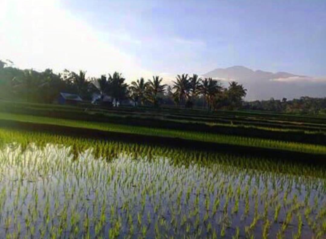 Sky Garden Lombok Leilighet Tetebatu Eksteriør bilde
