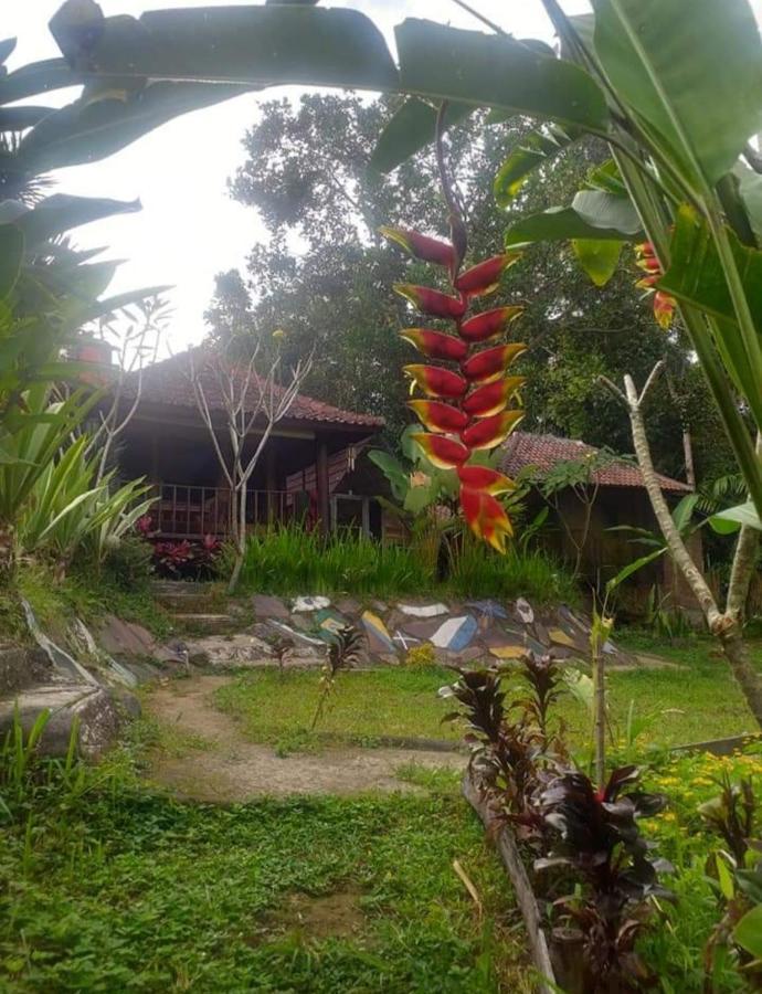 Sky Garden Lombok Leilighet Tetebatu Eksteriør bilde
