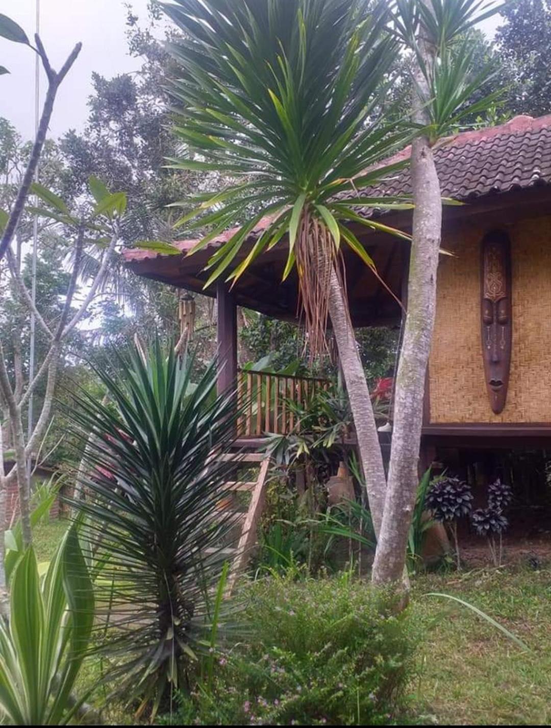 Sky Garden Lombok Leilighet Tetebatu Rom bilde